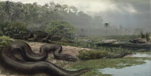 Titanoboa Illustration