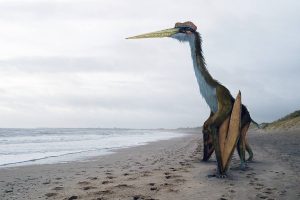 Quetzalcoatlus